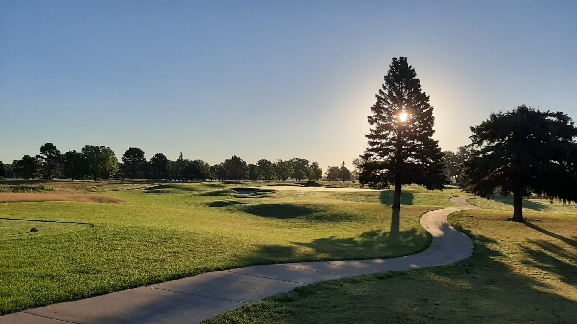 Elmwood Golf Course – photo 2
