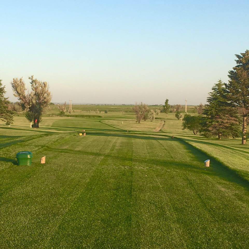 Olive Grove Golf Course – photo 3