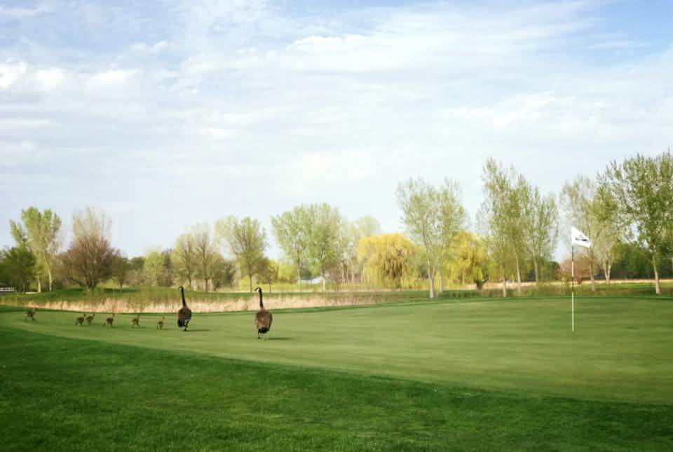 The Bluffs Golf Course – photo 2
