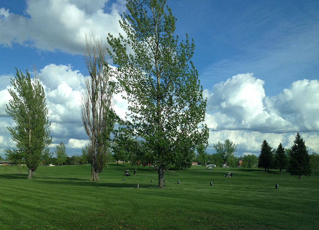 Webster Municipal Golf Course